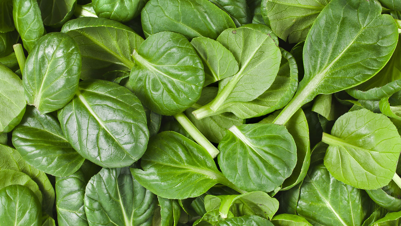 baby-spinach-nutrition-2